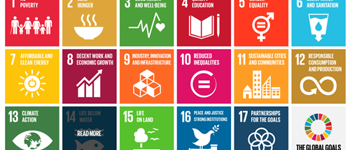 Global Goals Overzicht