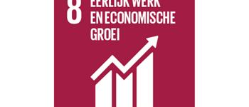 Global Goal 8 Eerlijk Werk En Economische Groei