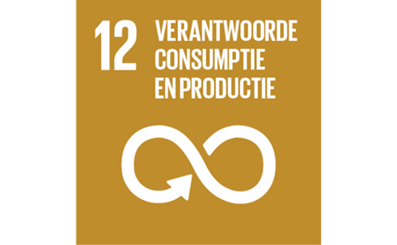 Verantwoorde consumptie en productie